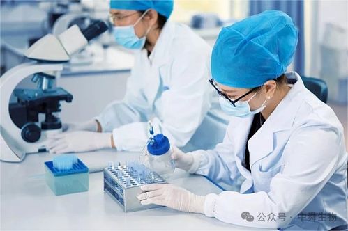 中舜生物 一站式大健康食品OEM，信息技術咨詢服務賦能品牌快速成長